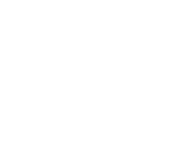 Flying falcon white icon
