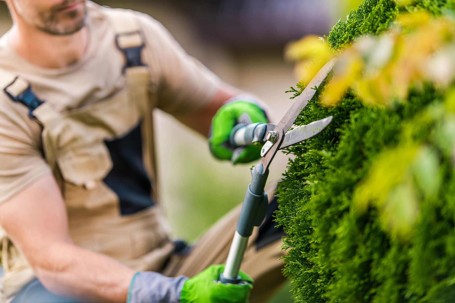 A man is cutting a hedge with a pair of scissors.