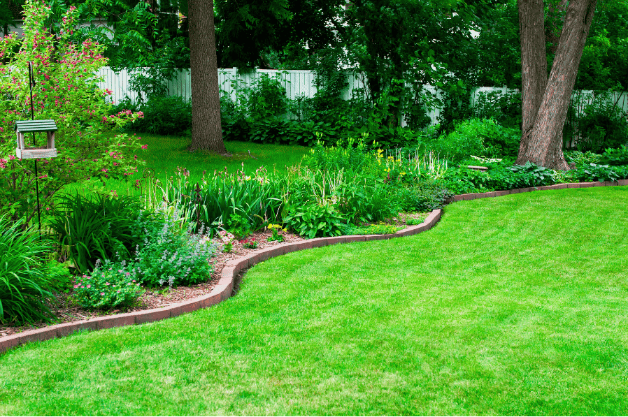 Freshly mowed lawn looking very green