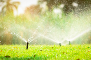 Sprinkler Irrigation System Spraying
