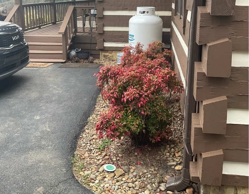 Before adding water feature