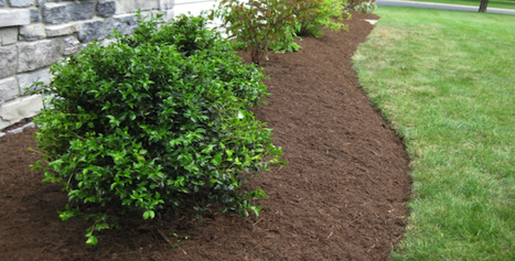 landscape services in birmingham