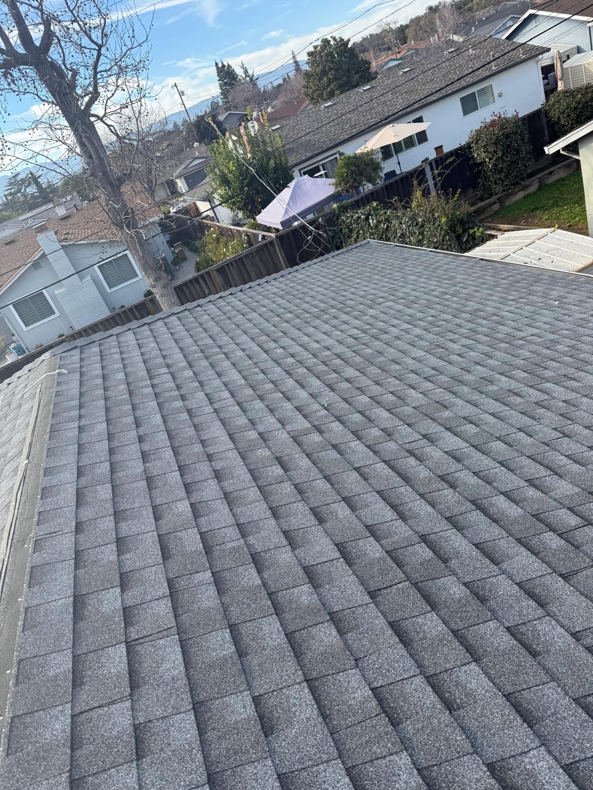 View from a shingled rooftop toward suburban houses and leafless trees on a sunny day