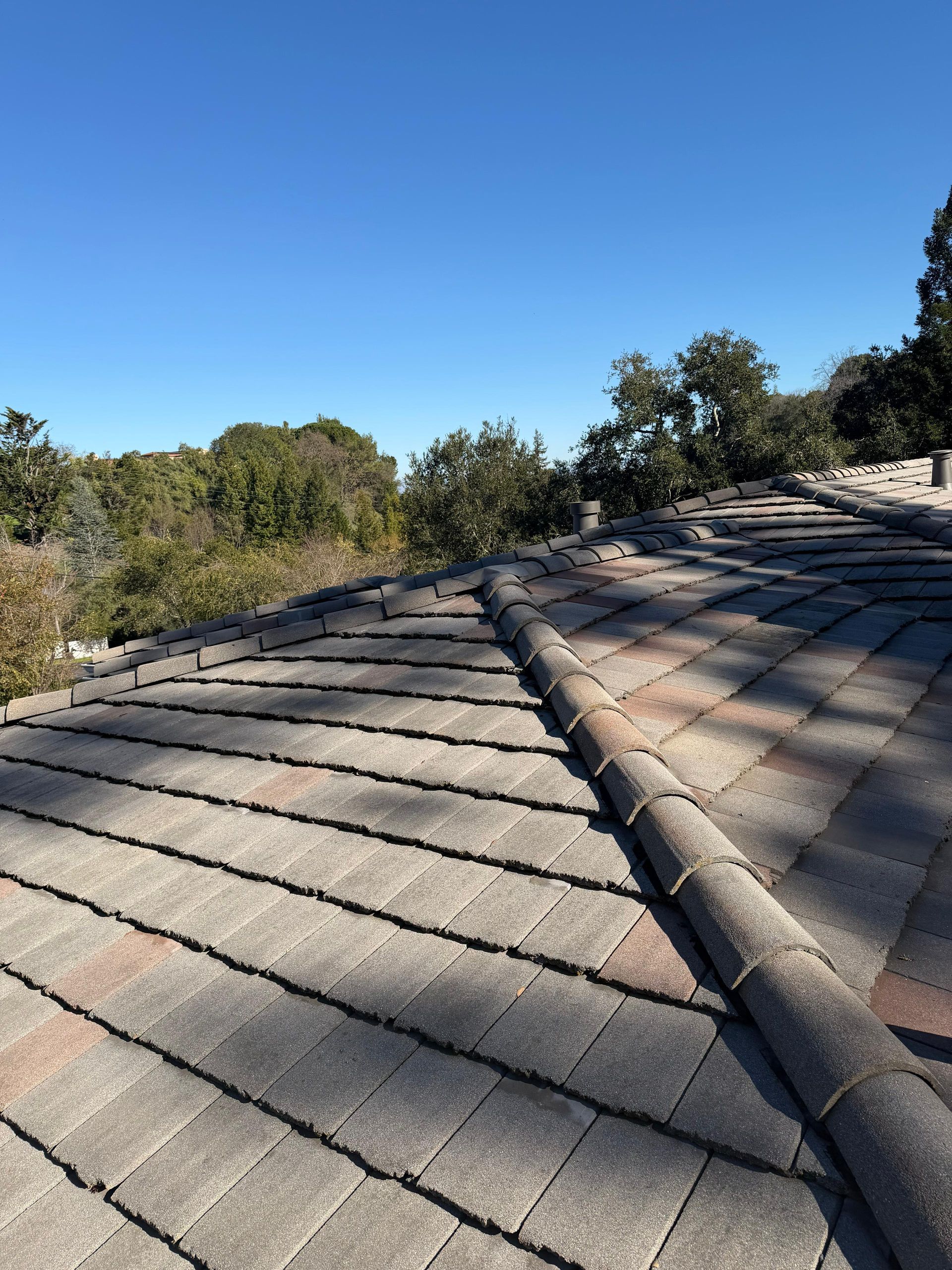 Rooftop with gray shingles under a clear blue sky, lined by trees in the background