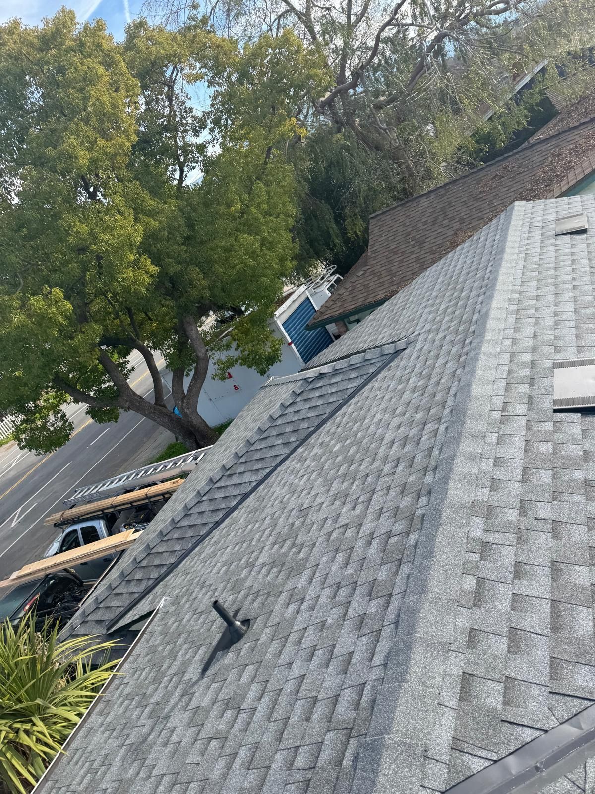 Tilted view of a shingled roof with trees and a house in the background