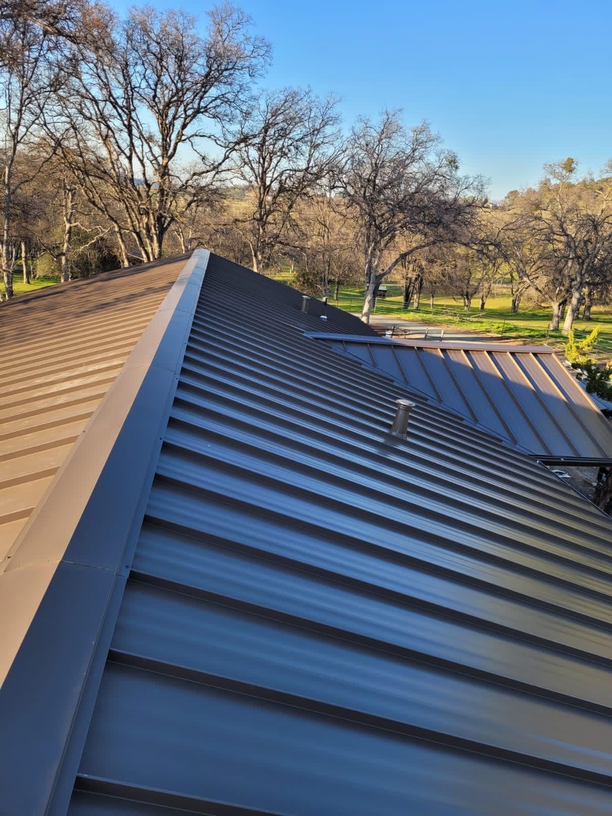 Black metal roof on a house with trees and a clear blue sky in the background