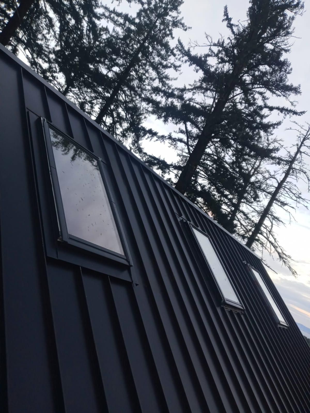 Black corrugated metal building with tall windows viewed from below against pine trees and cloudy sky
