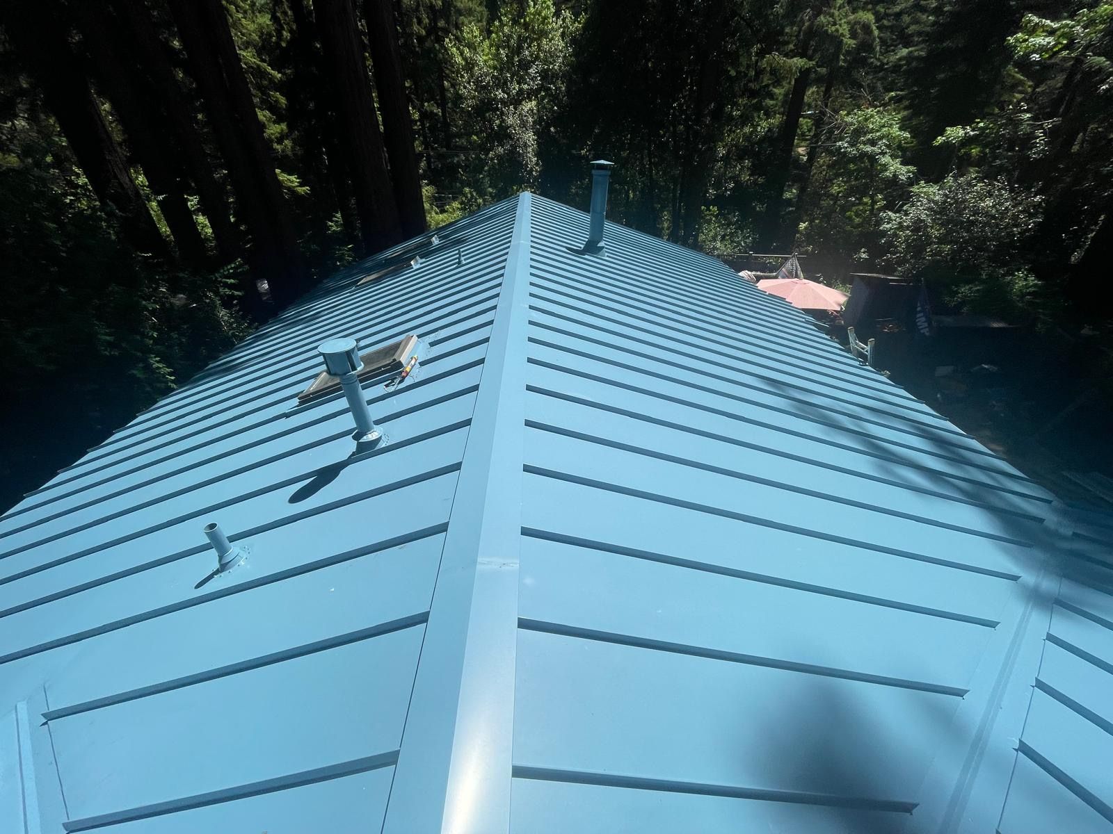 Blue metal roof with rooftop vent pipes, viewed from above in a wooded area