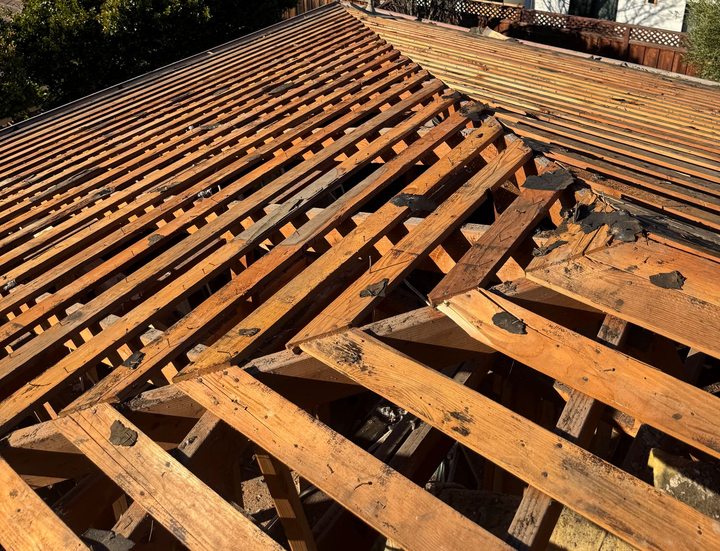 Weathered wooden roof framing with exposed rafters and battens in warm sunlight
