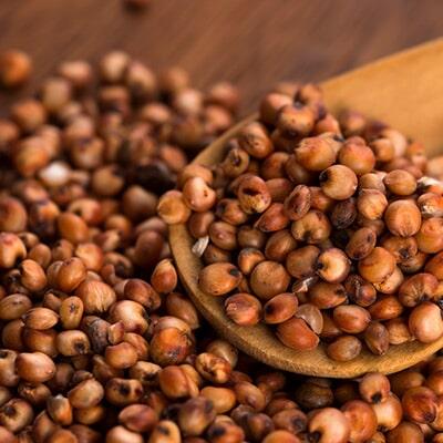 SORGO