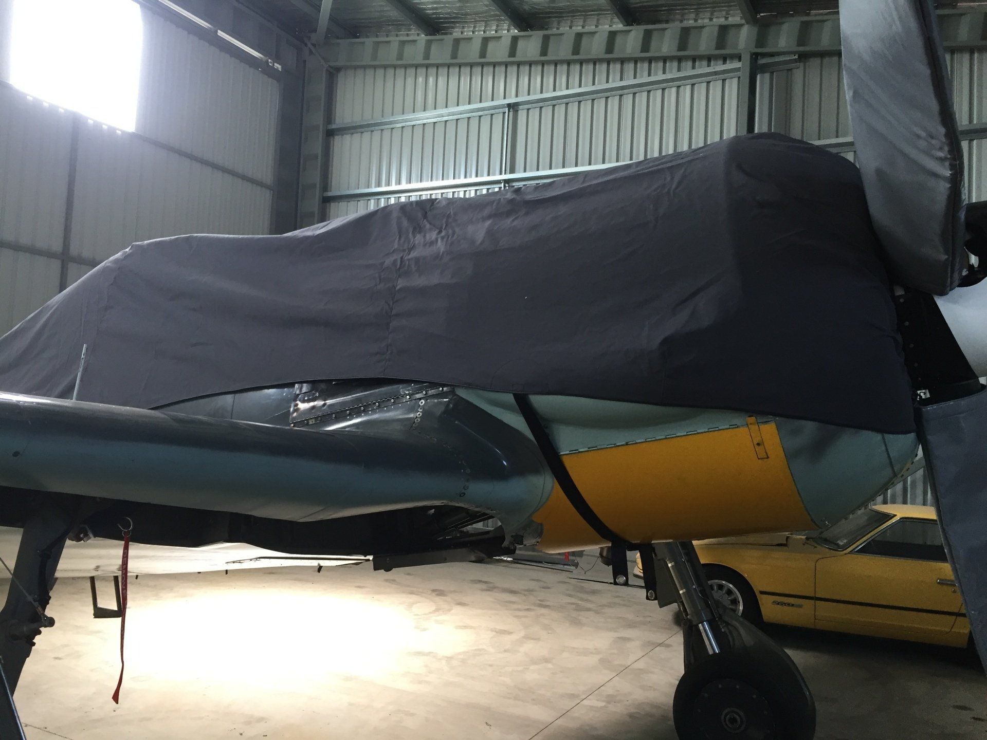 Polyester plane cover