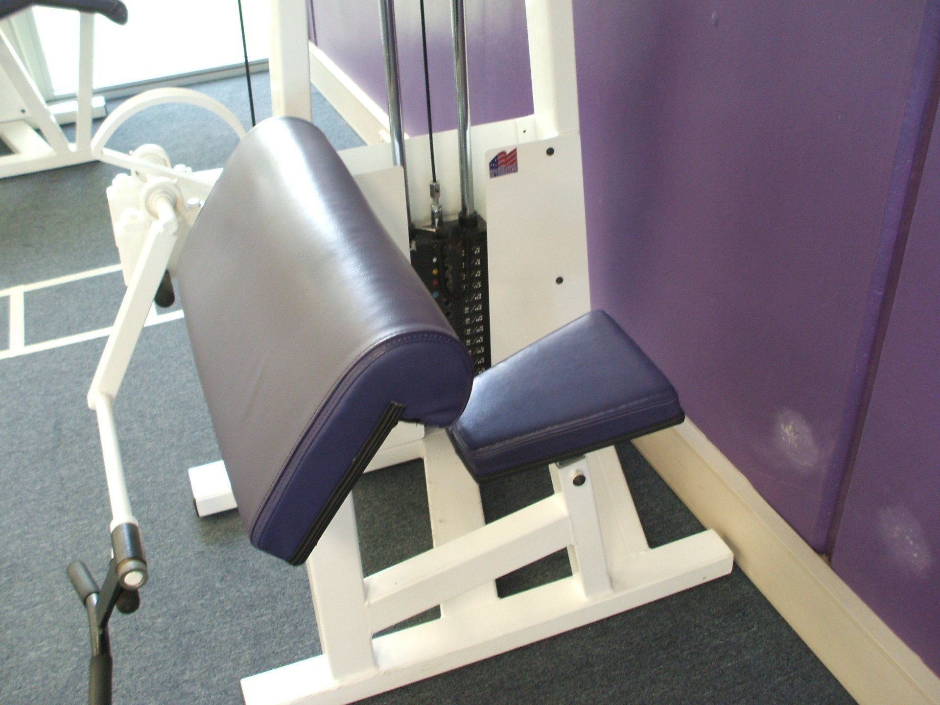 Purple Gym Equipment Seating