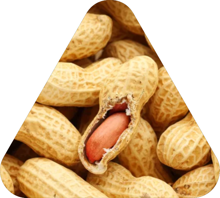 Oceana Minerals: Soluções Sustentáveis com Algas Lithothamnium para Nutrição Animal, Vegetal e Tratamento de Água