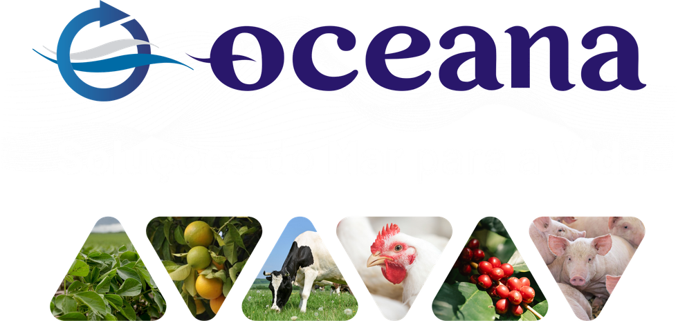 Oceana Minerals: Soluções Sustentáveis com Algas Lithothamnium para Nutrição Animal, Vegetal e Tratamento de Água