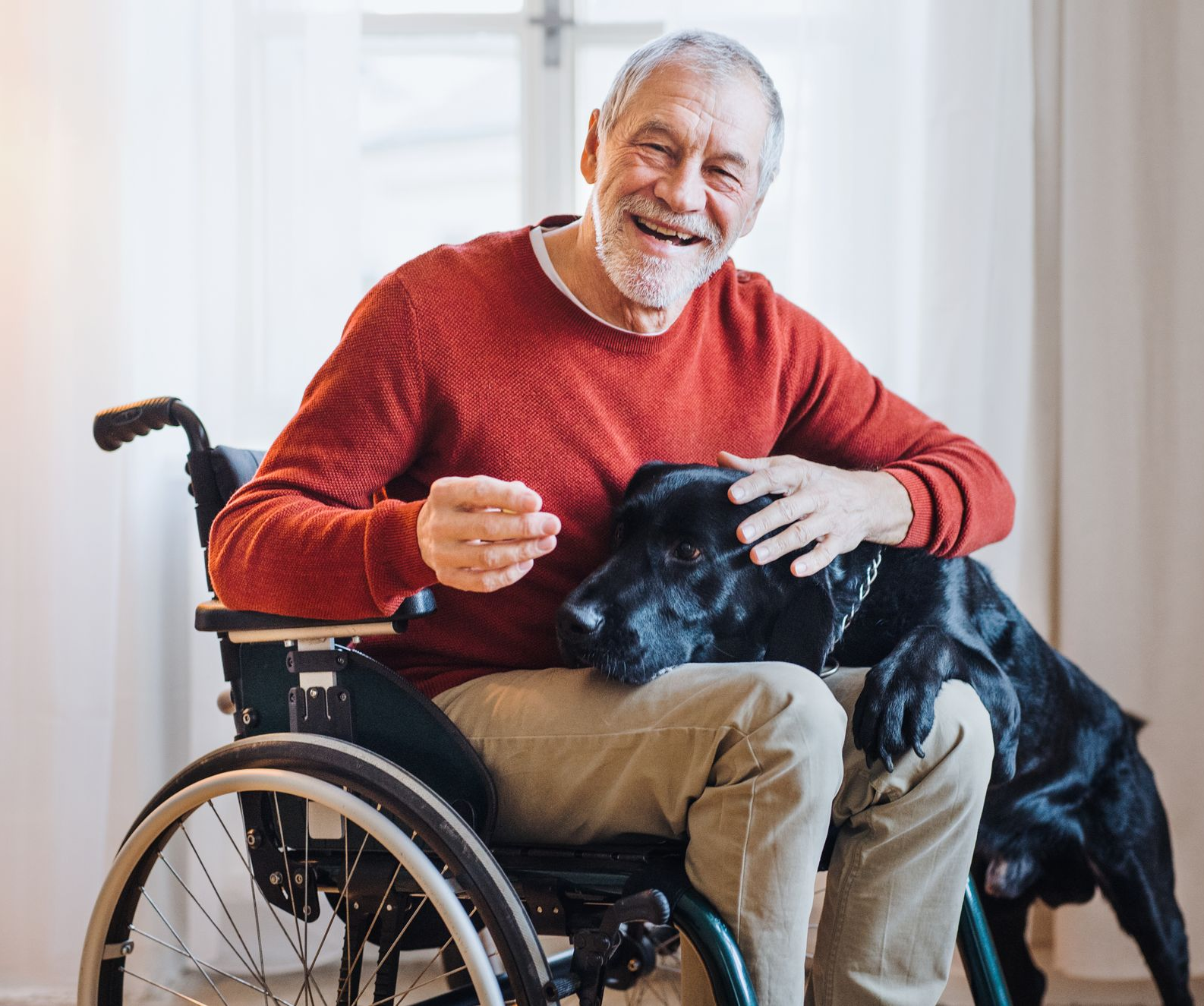Smiling elderly man in wheelchair pets a black dog; they're indoors.
