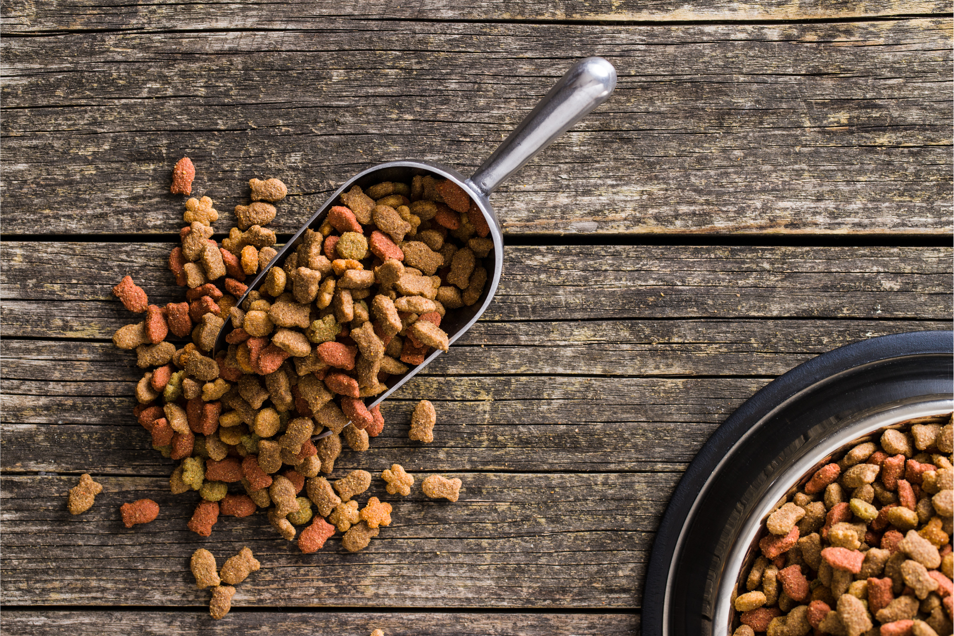 A bowl of dog food and a scoop of dog food on a wooden table.