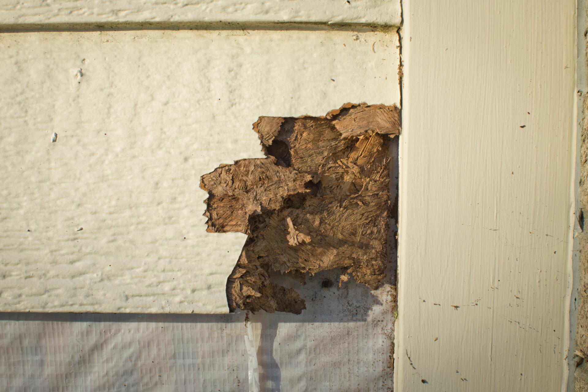 A close up of a piece of wood on a wall.