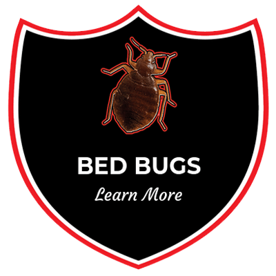 a shield with a bed bug on it and the words `` bed bugs learn more '' .