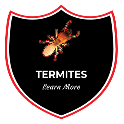 a shield with an ant on it that says termites learn more .