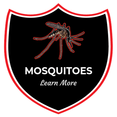 a logo for mosquitoes learn more with a mosquito on it