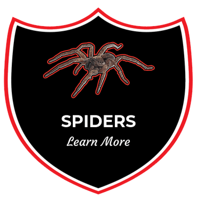 a shield with a spider on it and the words spiders learn more