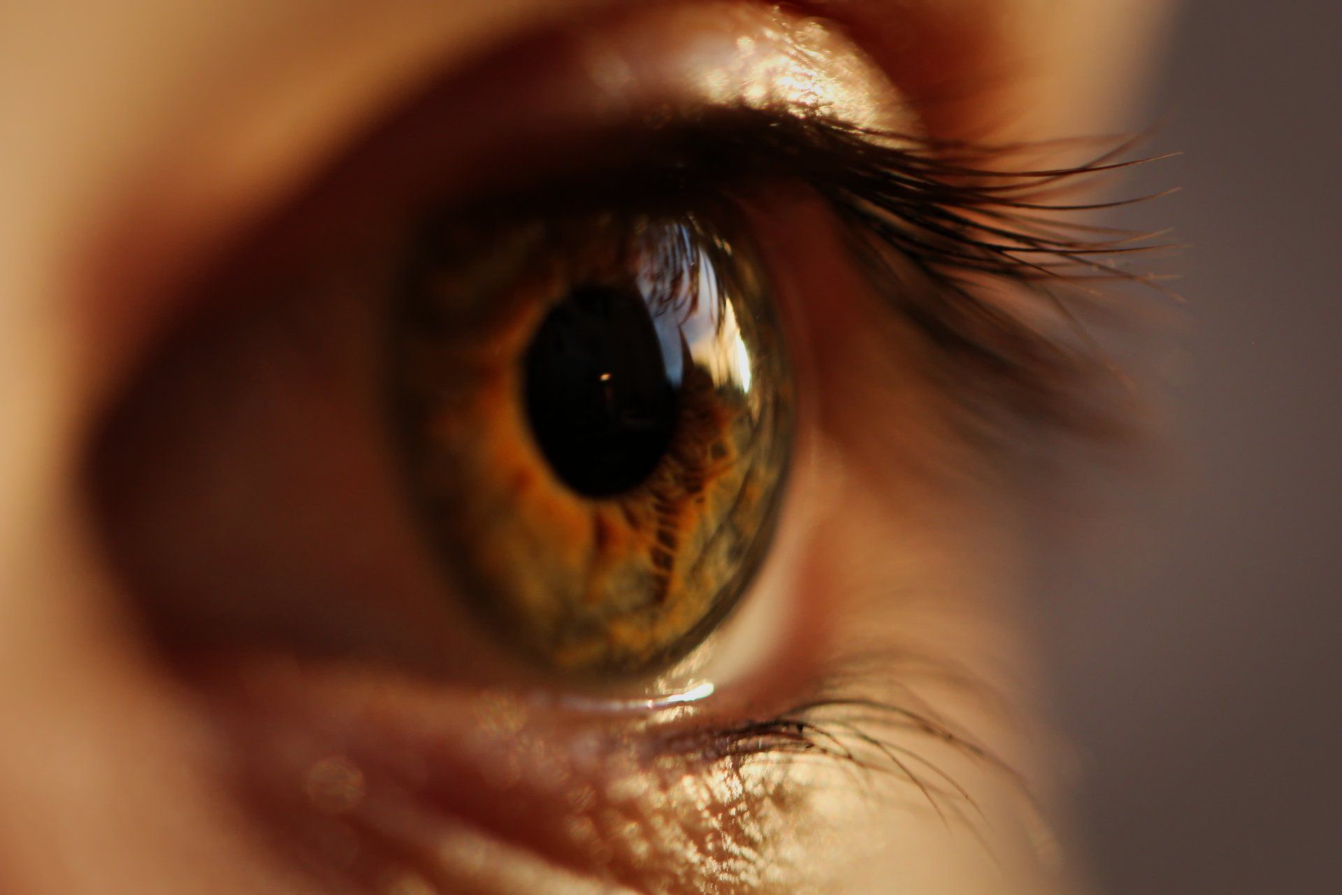 A close up of a person 's brown eye with long eyelashes.