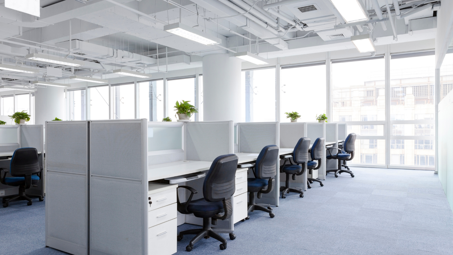 White office with cubicles, desks, and chairs; large windows; plants.