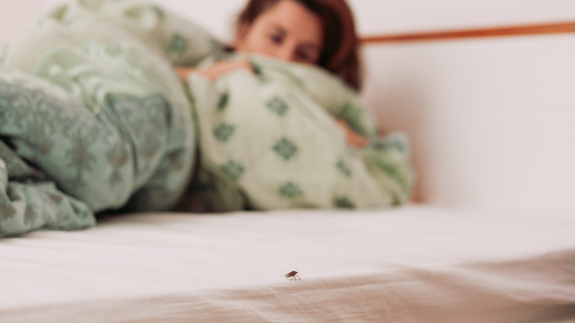 A person lies in bed under a patterned green blanket, looking toward a tiny insect crawling on the white sheet.