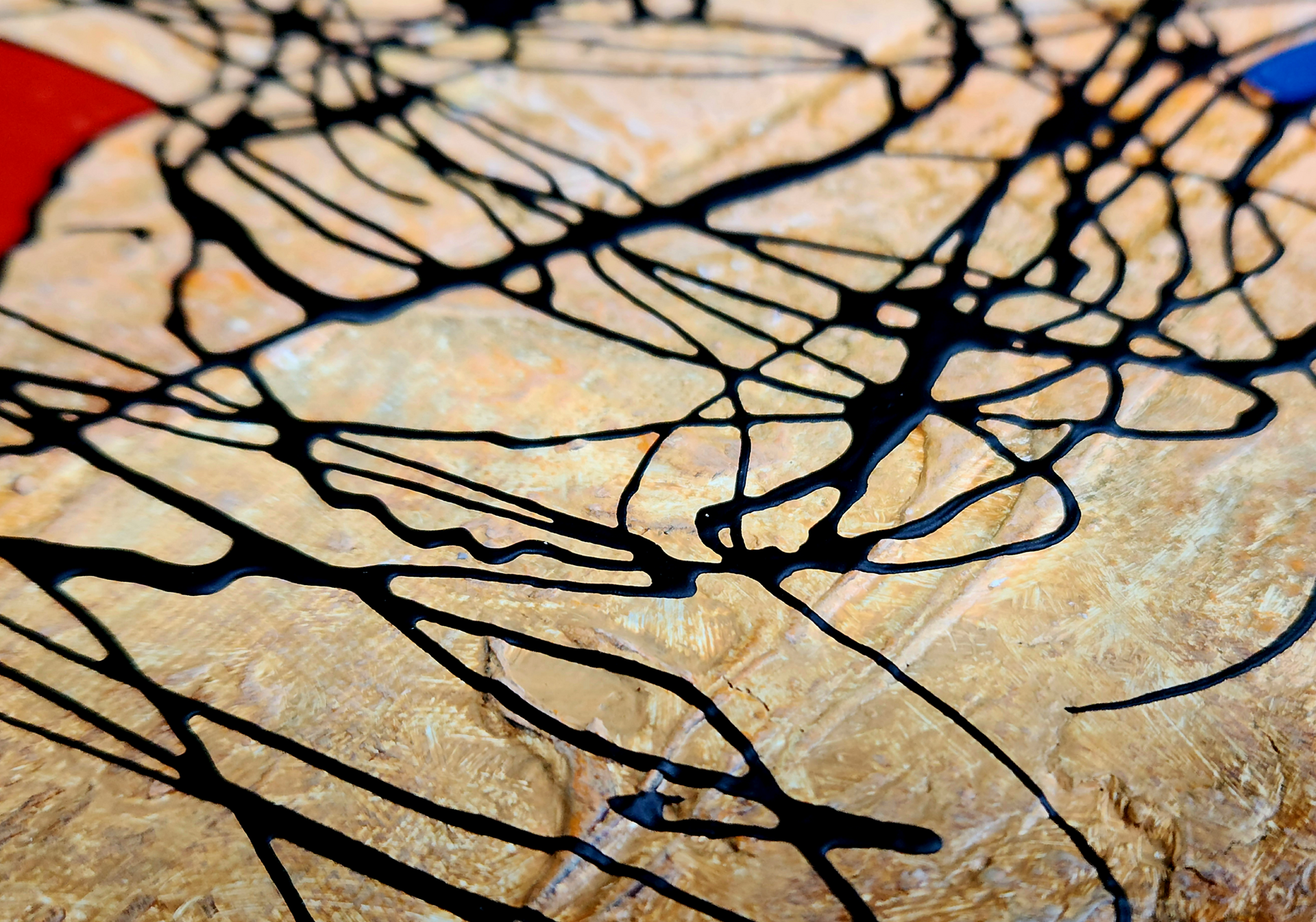 Freedom of expression