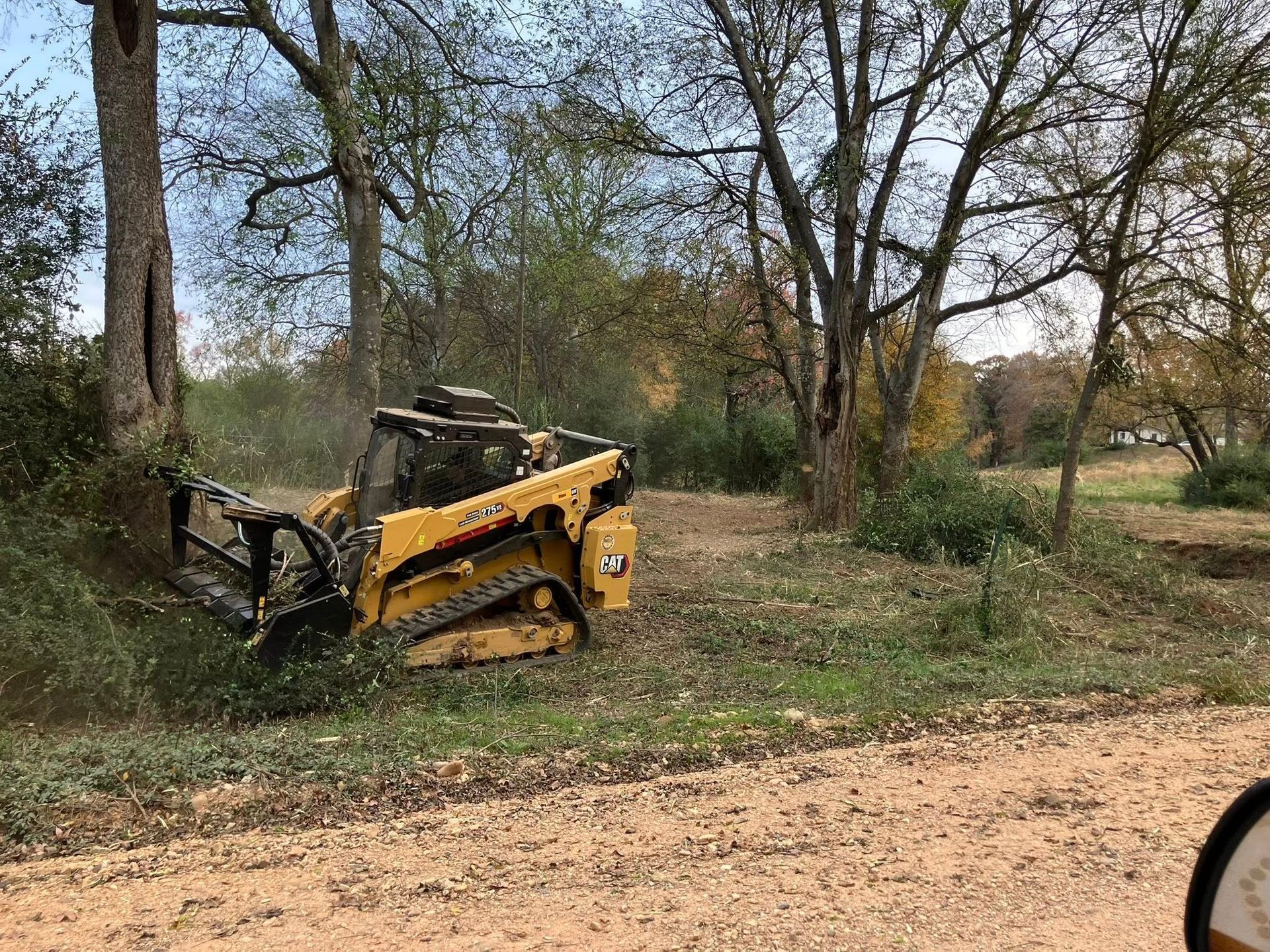 Yellow skid steer clearing brush along a dirt road, trees in the background.