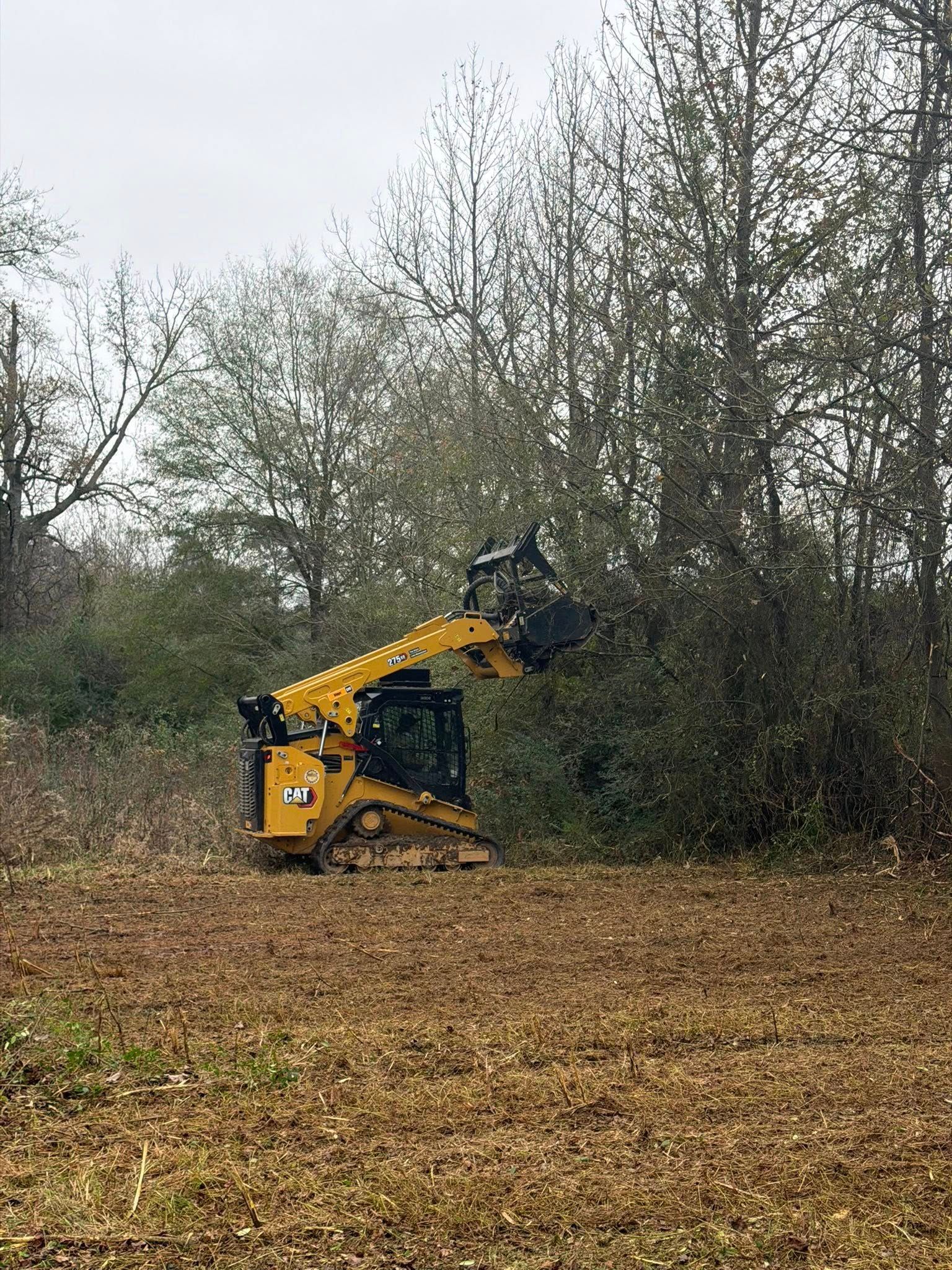 Yellow skid-steer loader with a mulching head cutting down bushes and trees in a field on an overcast day.