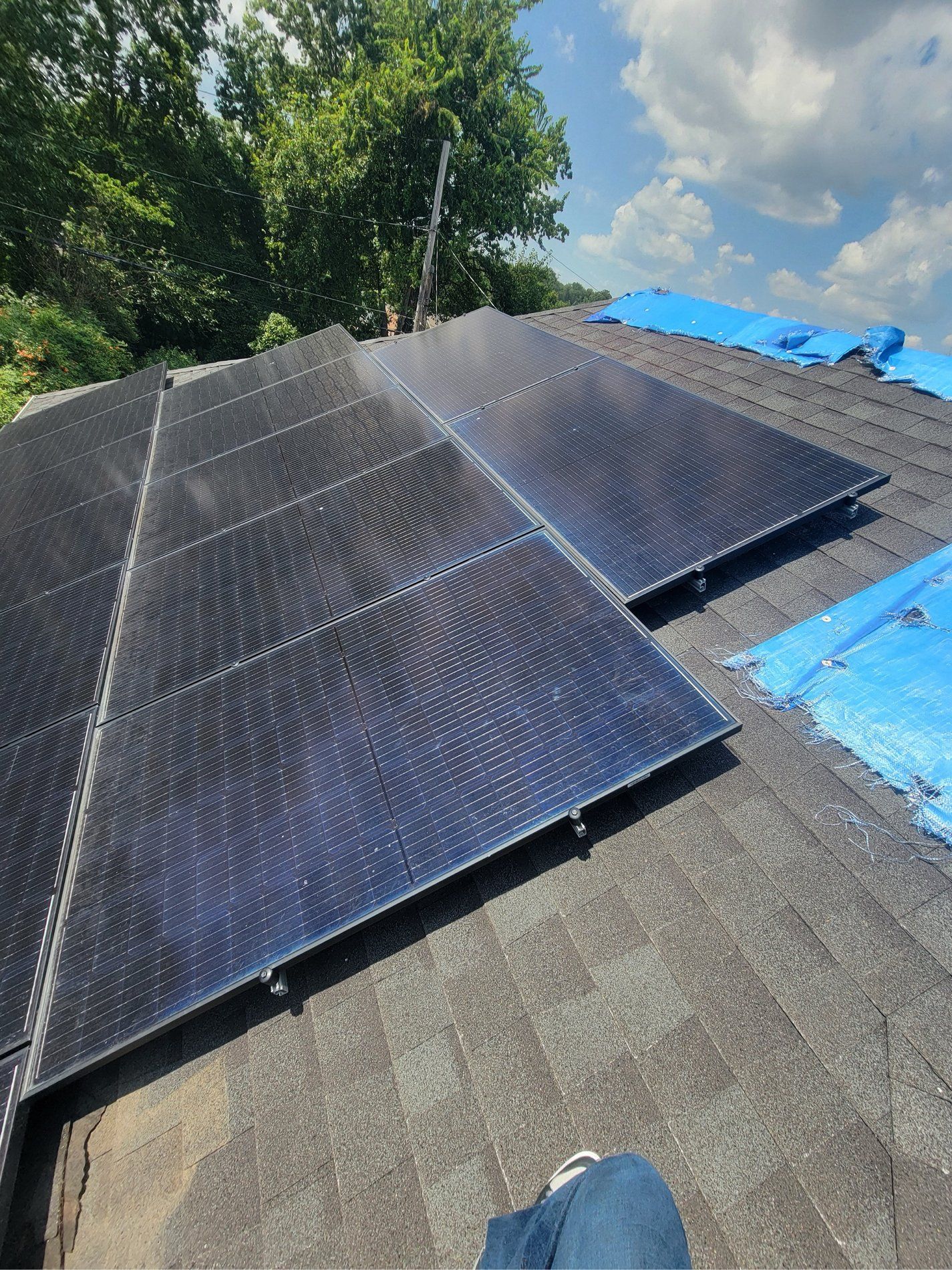 Solar panels on a rooftop with blue tarp covering part of the roof, trees and sky in the background