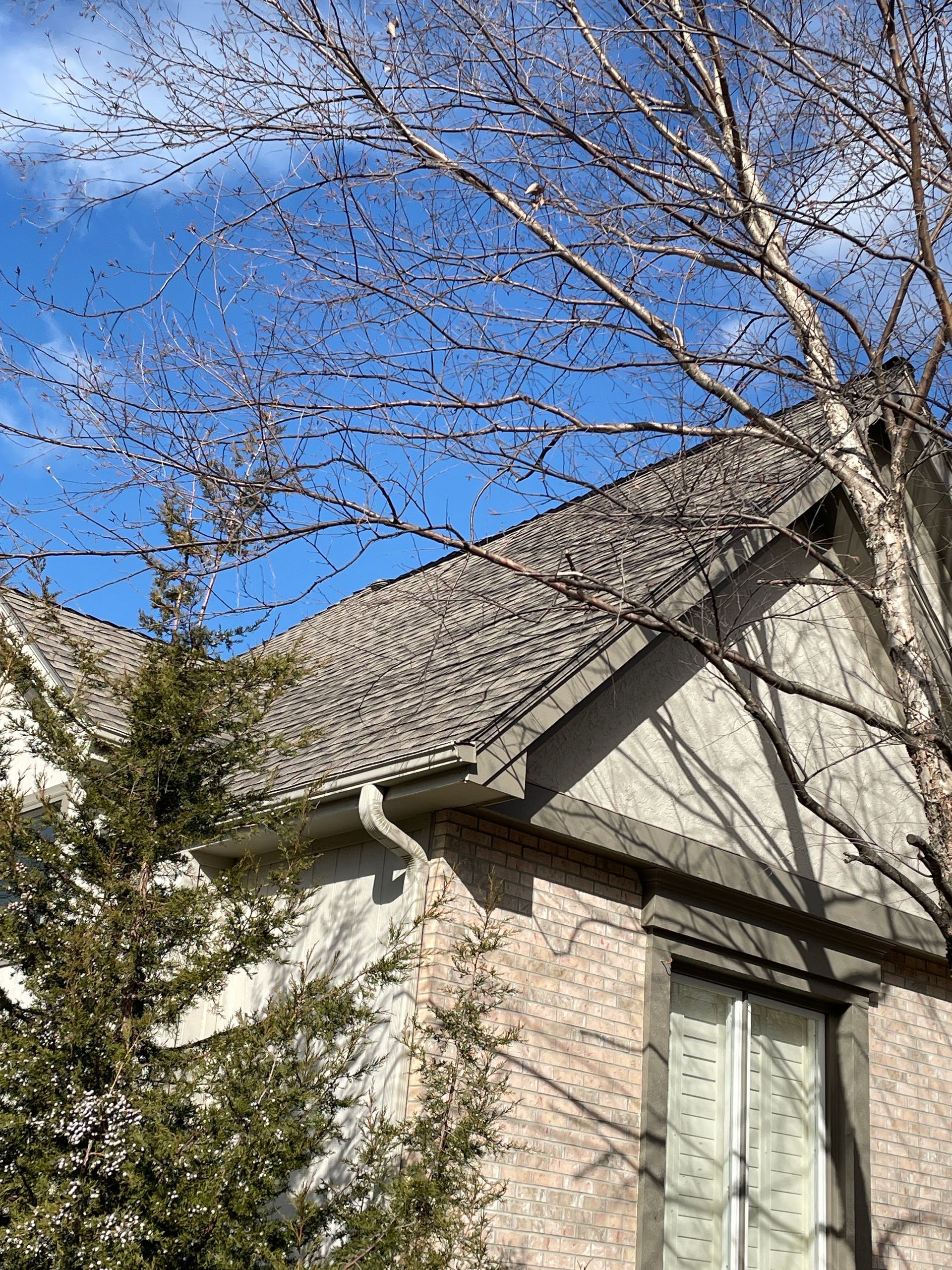 Brick house with steep shingled roof, framed by bare tree branches against a blue sky.