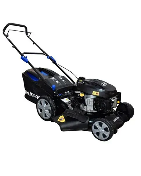 RT DE JUÁREZ S DE RL MI 