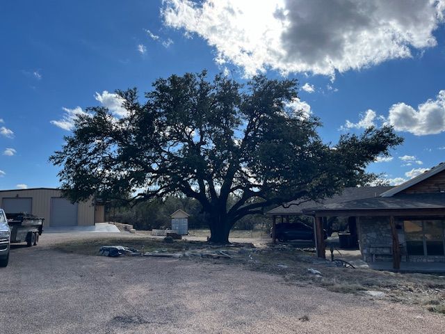 A large tree in front of a house on a cloudy day