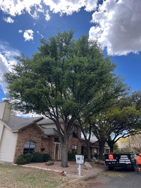 A house with a large tree in front of it