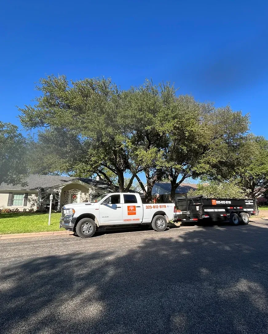 A white truck is parked in a driveway next to a tree.