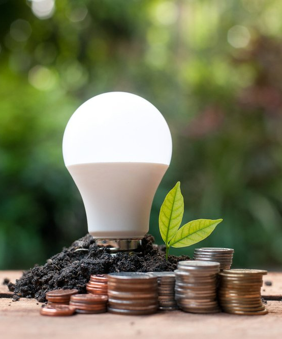 Led Bulb With Growing Plant & Coins — Residential Electrician in Upper Hunter Region,NSW