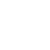 Empty white background.