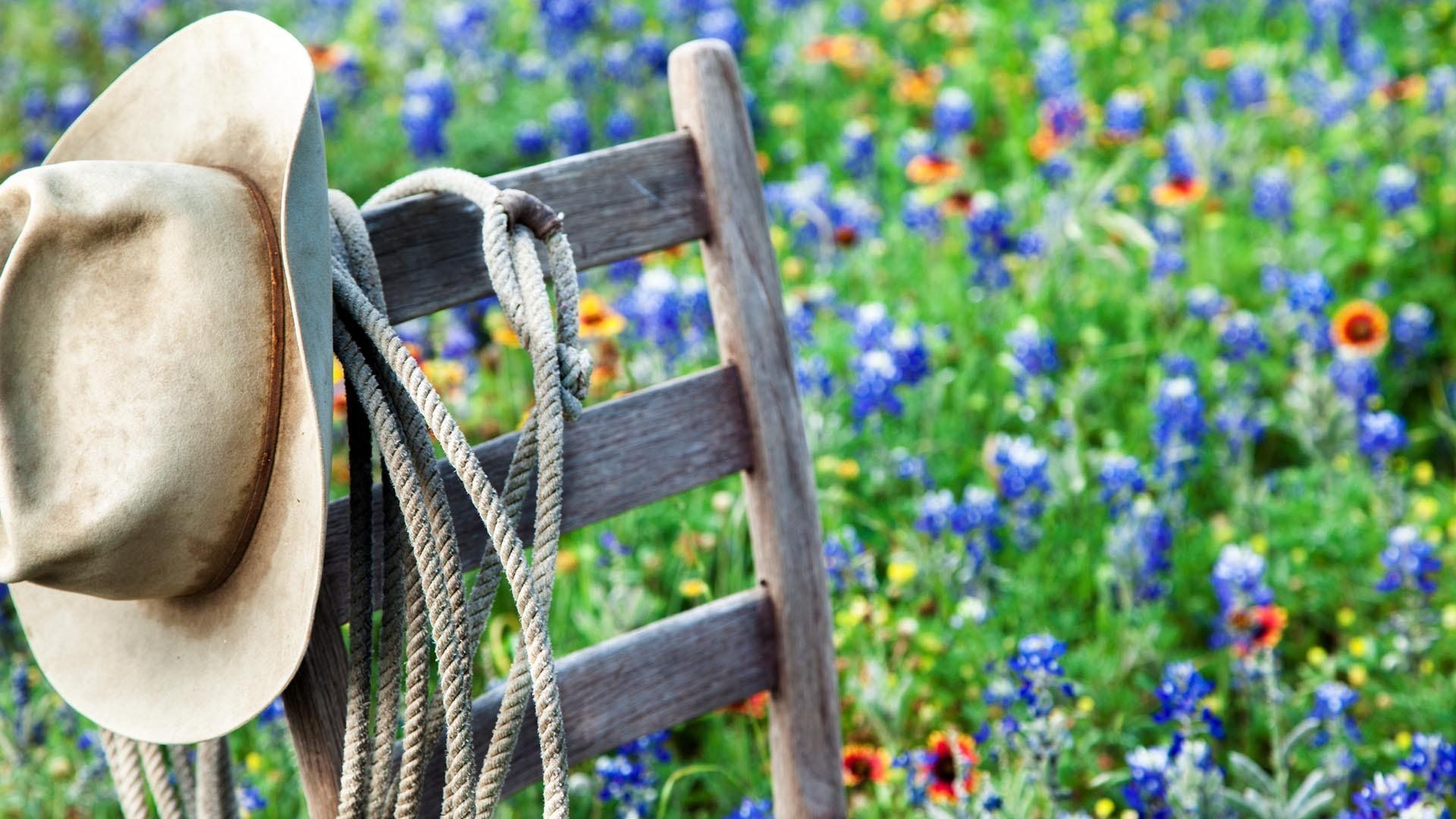 wooden chair and rope in front of flowers