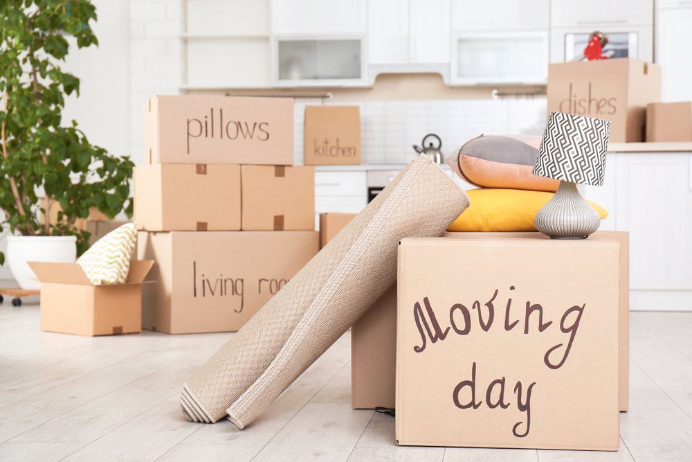 Moving Boxes — Storage & Removal in Wauchope, NSW
