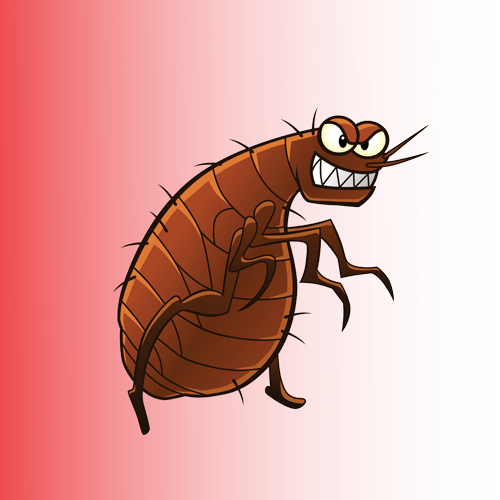 big-bug-Cartoon