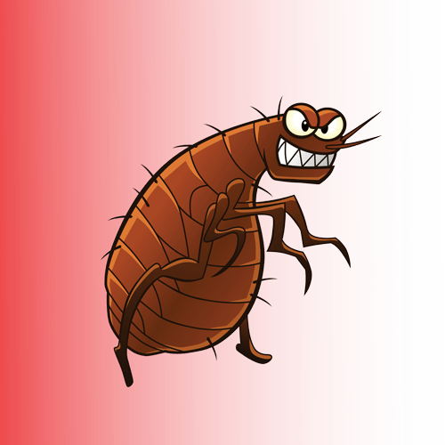 bed bugs pest control near me
