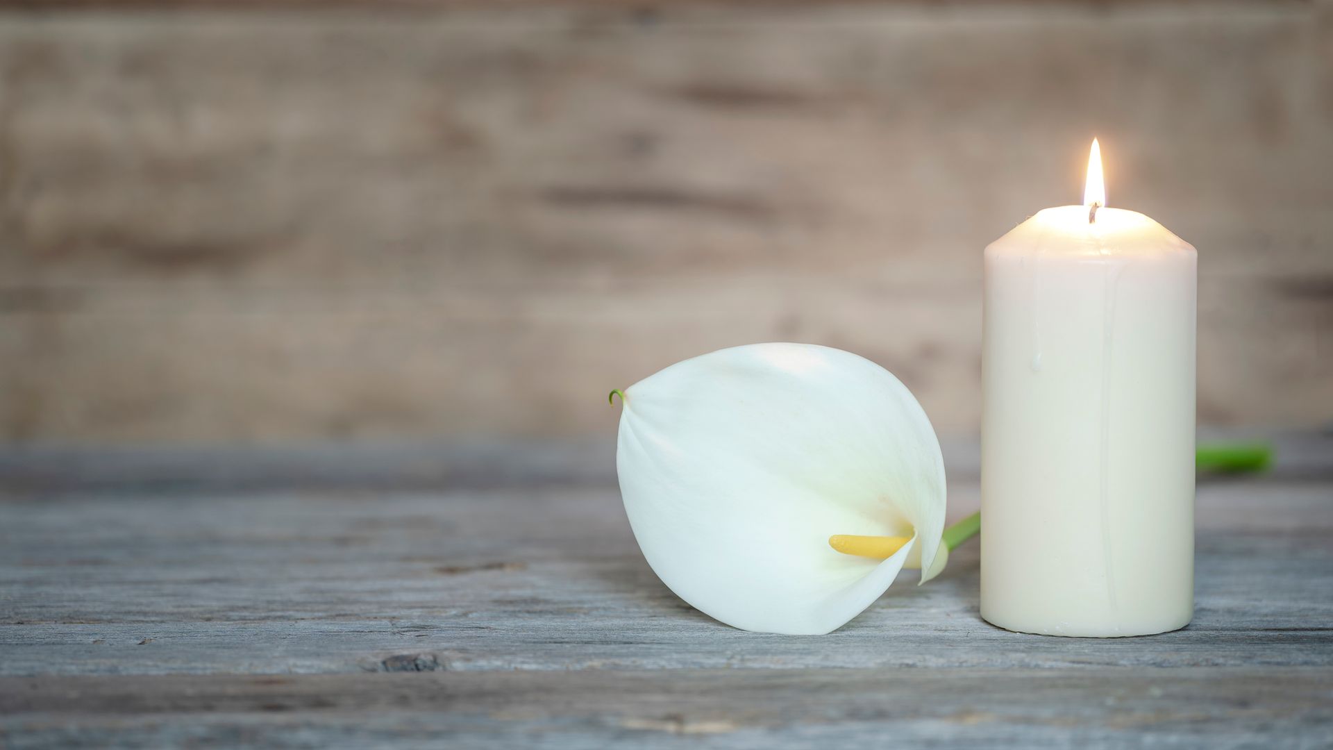 A white flower and a lit candle on a wooden table.