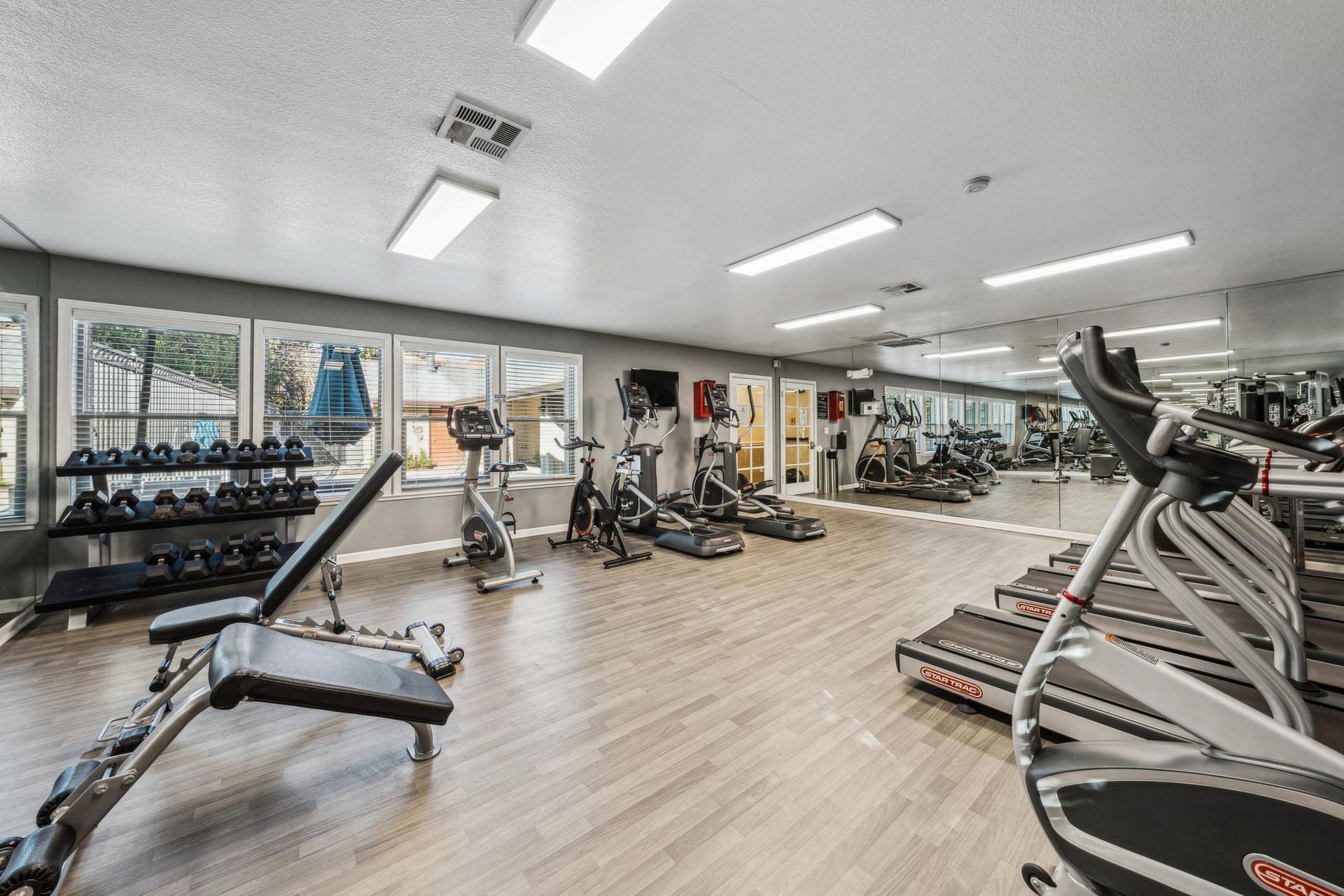 Bright gym with treadmills, ellipticals, weights, and a mirror wall.