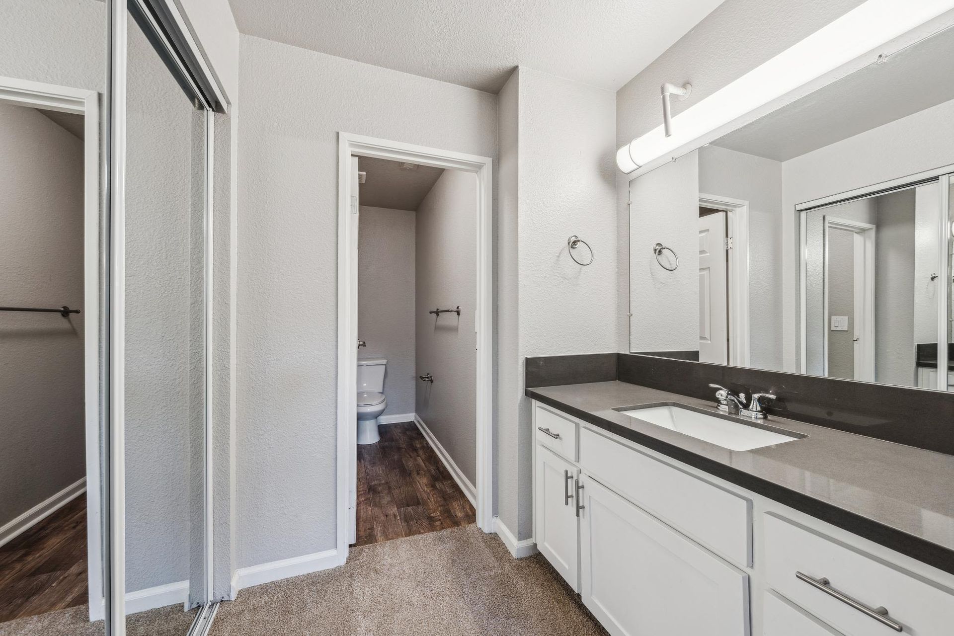 Bathroom vanity with sink and mirror; toilet room visible and closet with sliding mirrored doors.