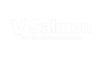 White logo reading &ldquo;VSalmon&rdquo; with faint smaller tagline beneath on a plain white background