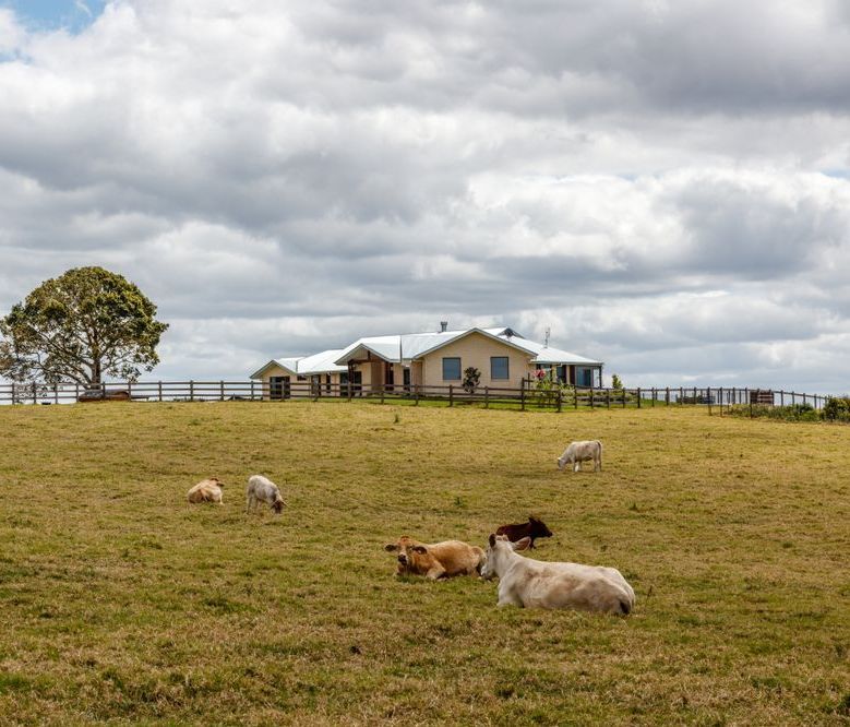 A Man Is Using A Digital Multimeter To Test A Light Fixture — Barcou Electrics In Gordonvale, QLD