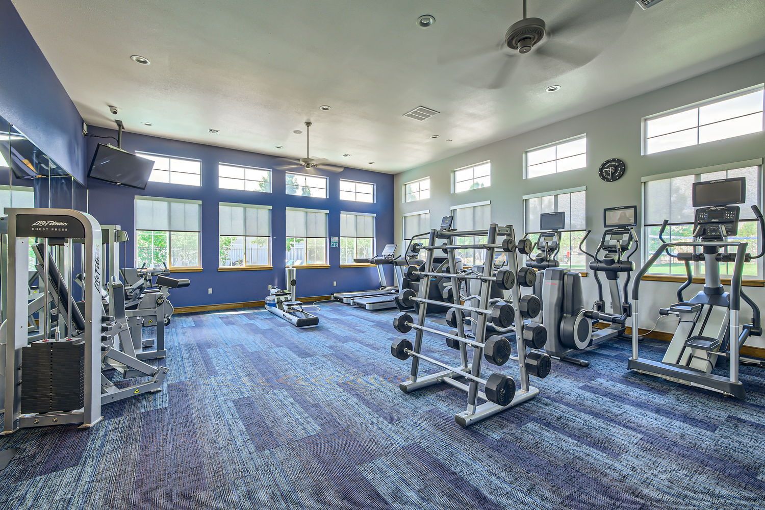 Bright, spacious apartment community gym with cardio machines and free weights.