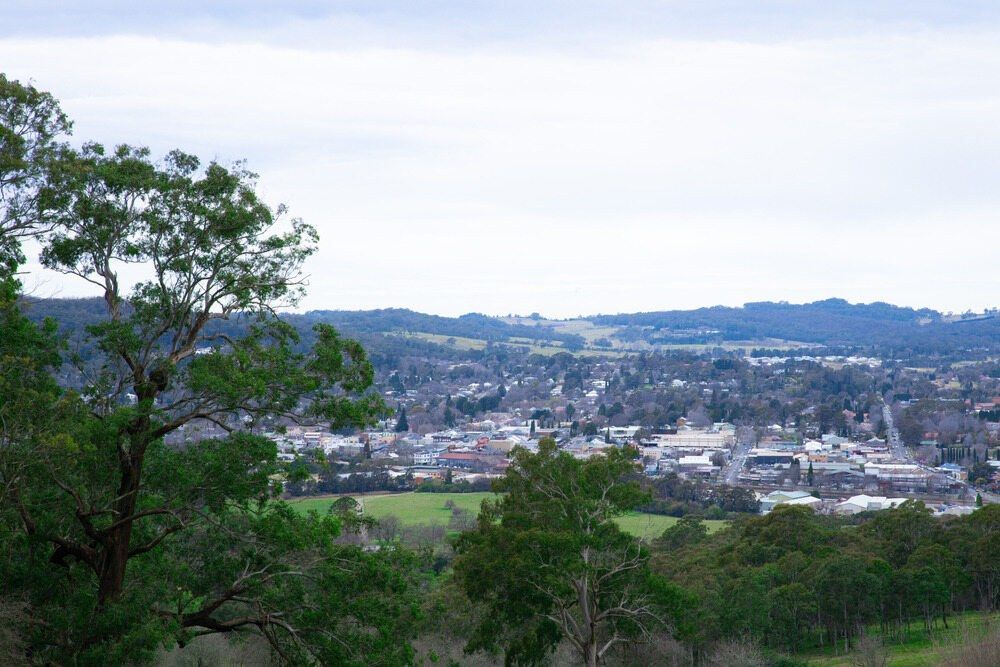 A View of a City From a Hill With Trees in the Foreground — Mylec Electrical Solutions in Dapto, NSW